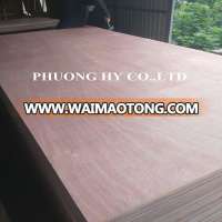 Plywood 4x8 local wood red face cheap price 100% from Vietnam