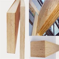 linyi factory hot sell lvl scaffolding board pine construction wood